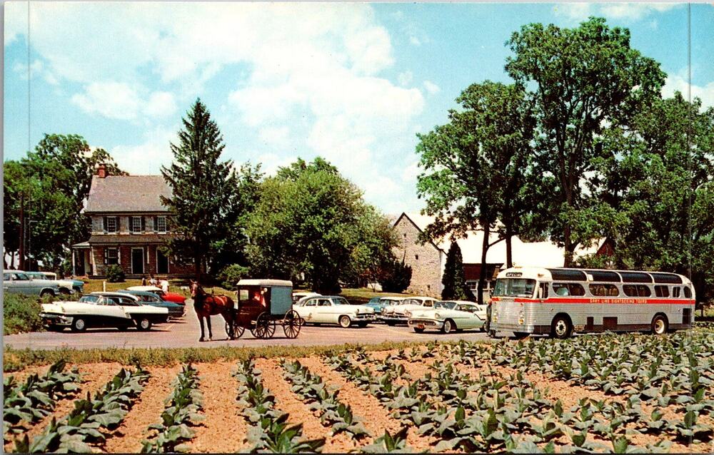 The Amish Farm & House in Lancaster PA Vintage Postcard SP17-28